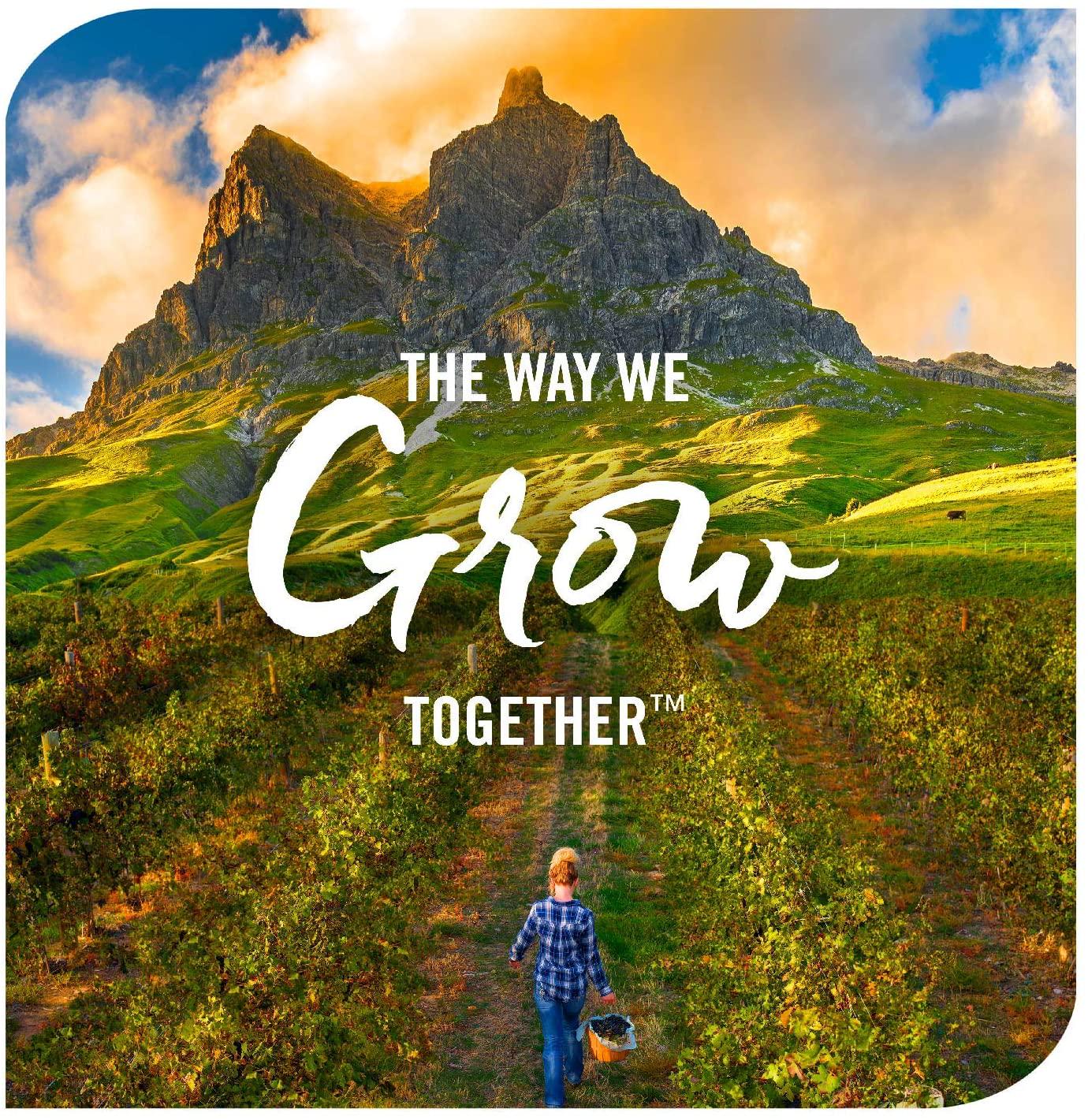 (120ml) - Natures Way Sambucus Sugar-Free Syrup, 120ml - Nutricity.com.au