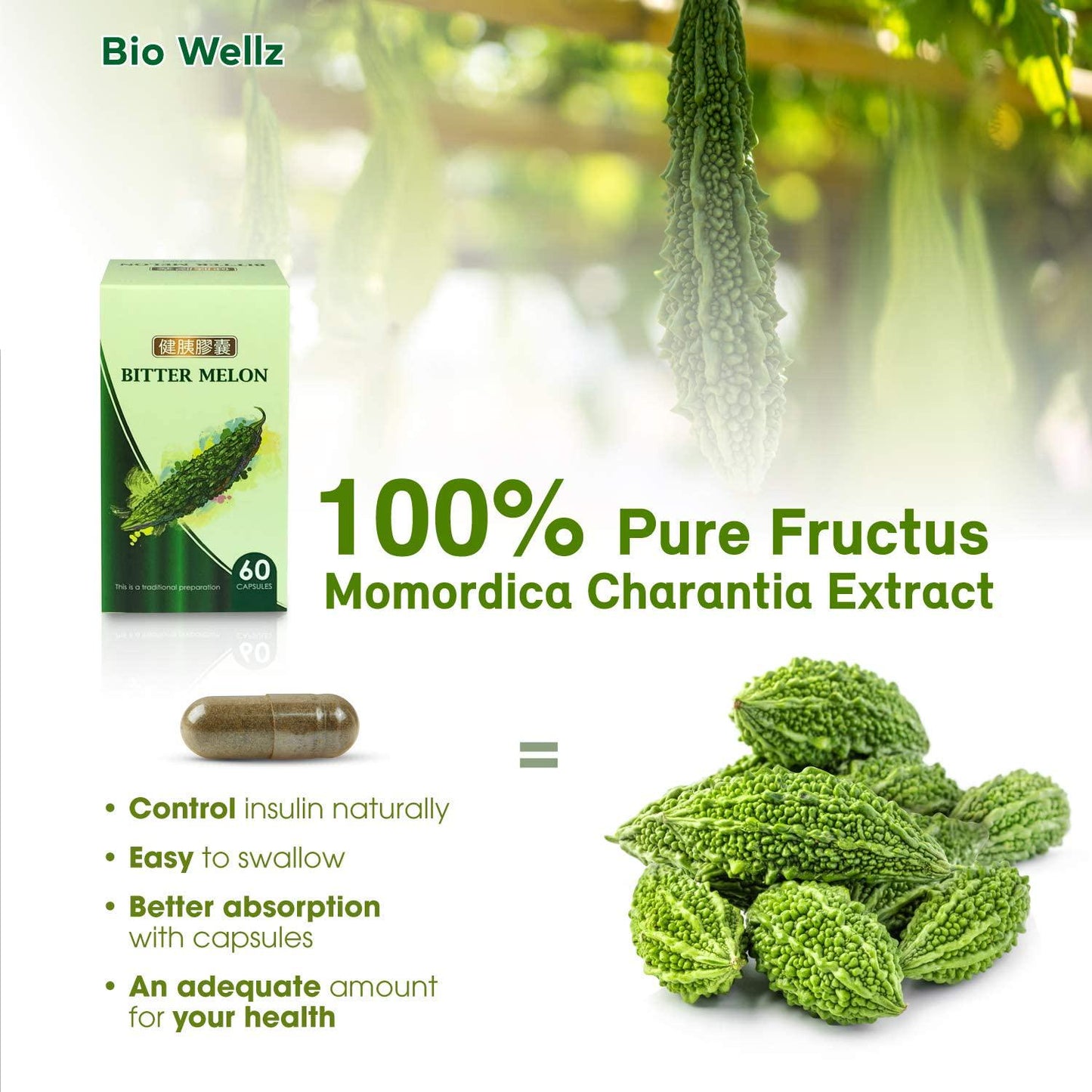 2x Bio Wellz Bitter Melon Supplement - Blood Sugar Support with Clinically Proven Results, Traditional Health Supplement, 100% Natural w/ Momordica Charantia Extract, No Additives - 120Capsules/Bottle
