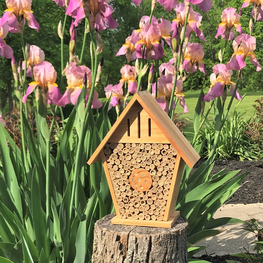 Better Gardens Wood Insect Chateau, Brown