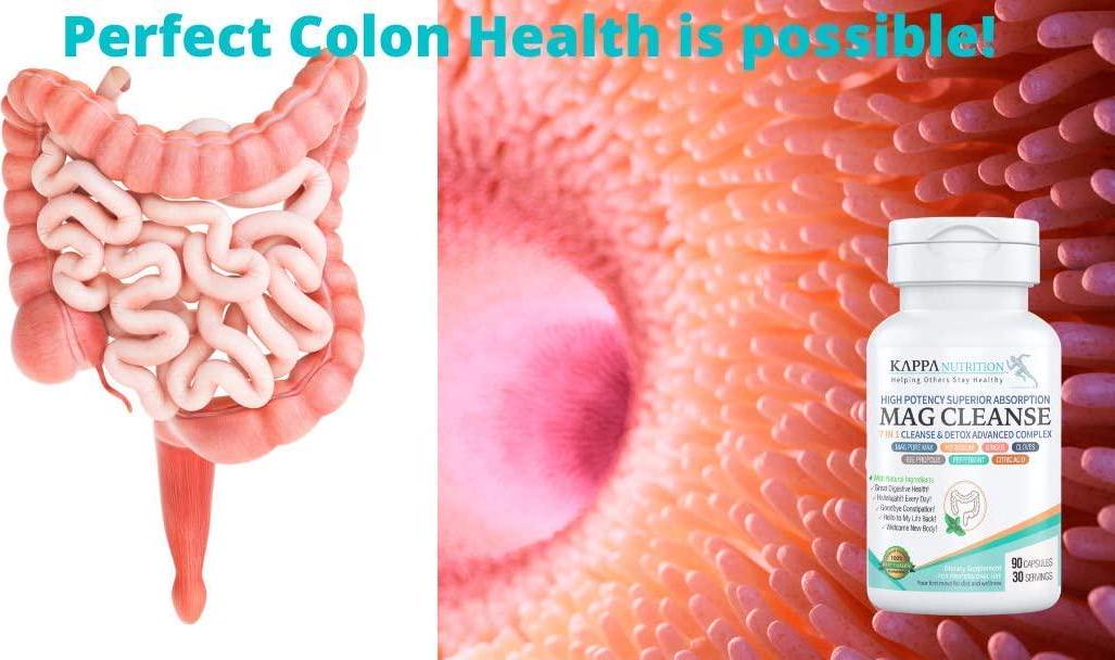 (90 Capsules), 7 in 1 Cleanse and Detox, Aids Digestive System, Regularity, Prevents Constipation, Track System Cleanse, Healthy Gut Flora, Gut Health, Kick-Starts Weight Loss, from Kappa Nutrition.