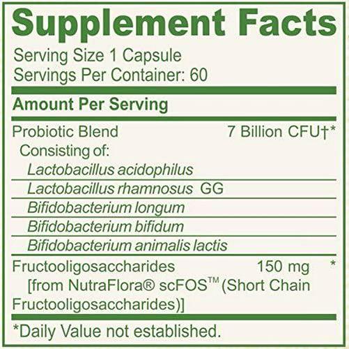 AMVILAB Digestive Health Supplement,Daily Probiotic 7 Billion CFUs per Capsule,5 Essential Strains Including Lactobacillus GG. Supports Intestinal and Immune Health. 60 Capsules