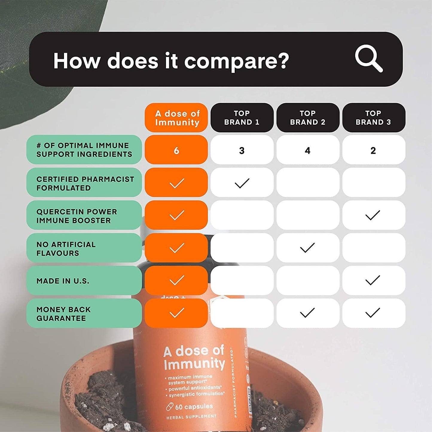 A Dose of Immunity Immune Support Supplement for Respiratory Health and Wellness Bioflavanoids Vitamin C Vitamin D Zinc Quercetin B Vitamins Echinacea Bromelain for Antioxidant Vegan Non GMO (1 Bottle)