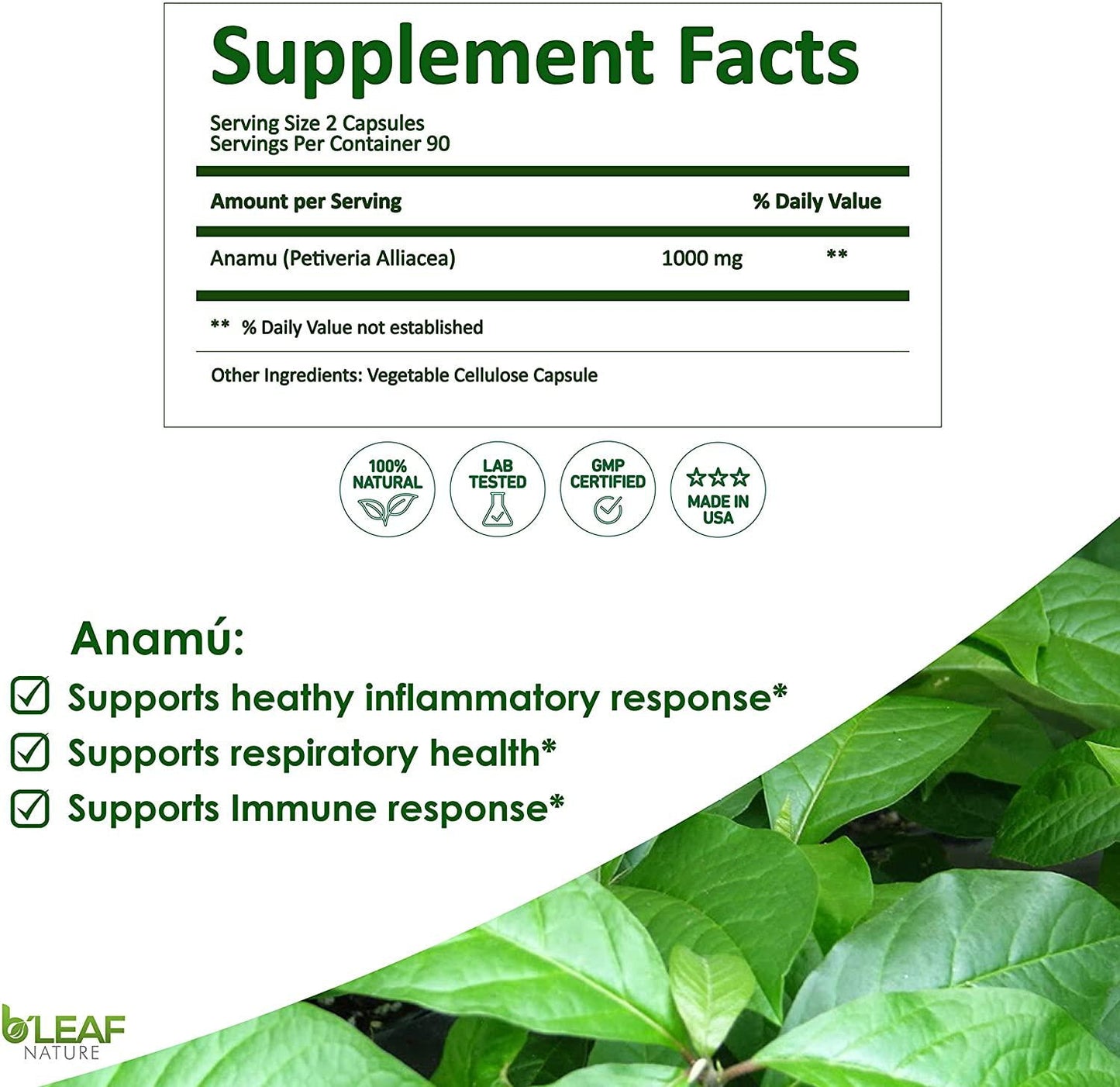 Anamu Capsules – Guinea Hen Weed - Immune Support – Joint Support – Respiratory Support - 1000mg per Serving (Petiveria Alliacea) - 100 Vegetarian Capsules by B’Leaf Nature