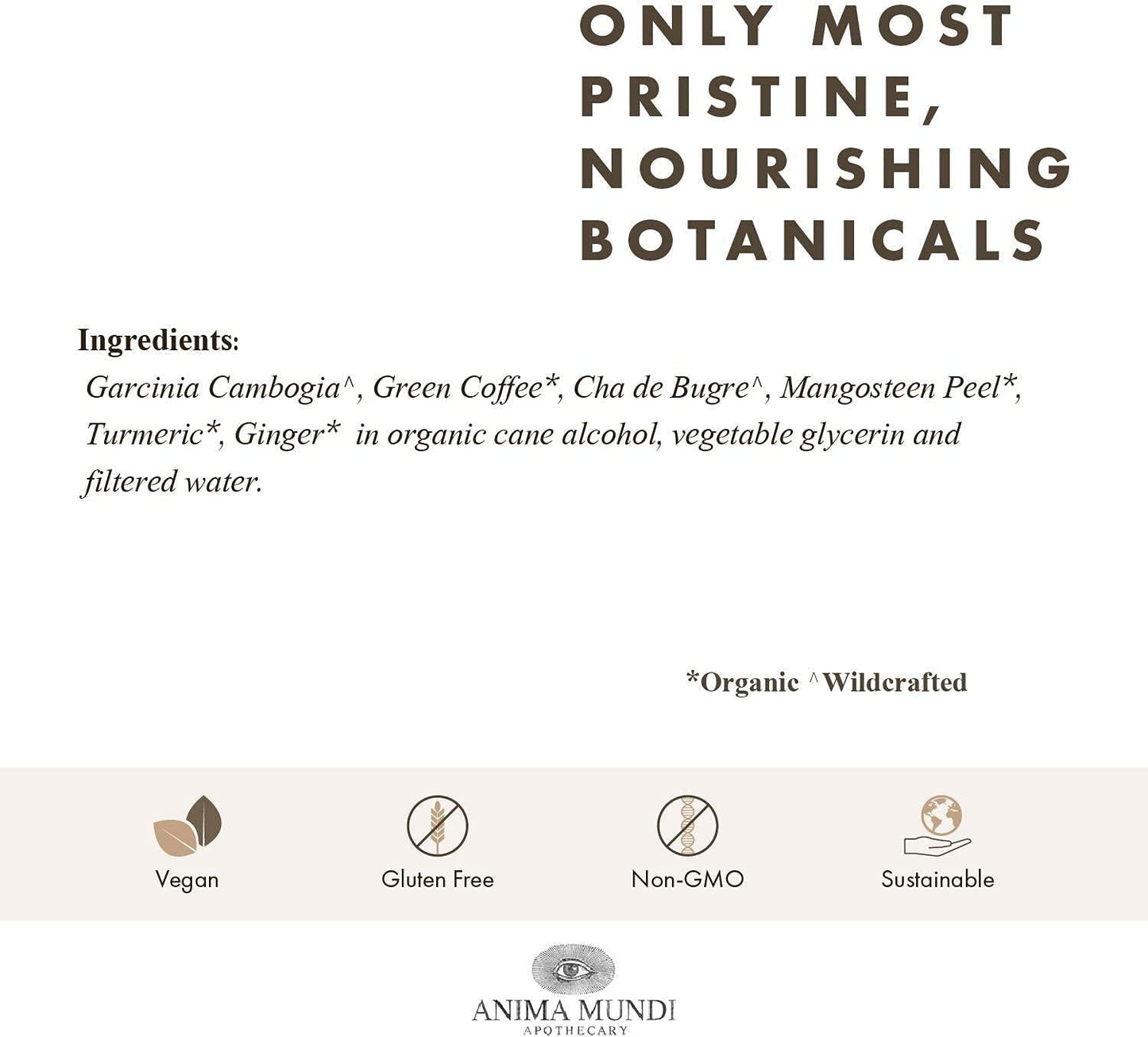 Anima Mundi Fat Belly Tonic - Liver Detox Support Tonic - Liquid Herbal Liver and Gut Detox Tincture with Garcinia, Green Coffee + Turmeric (2oz / 60ml)