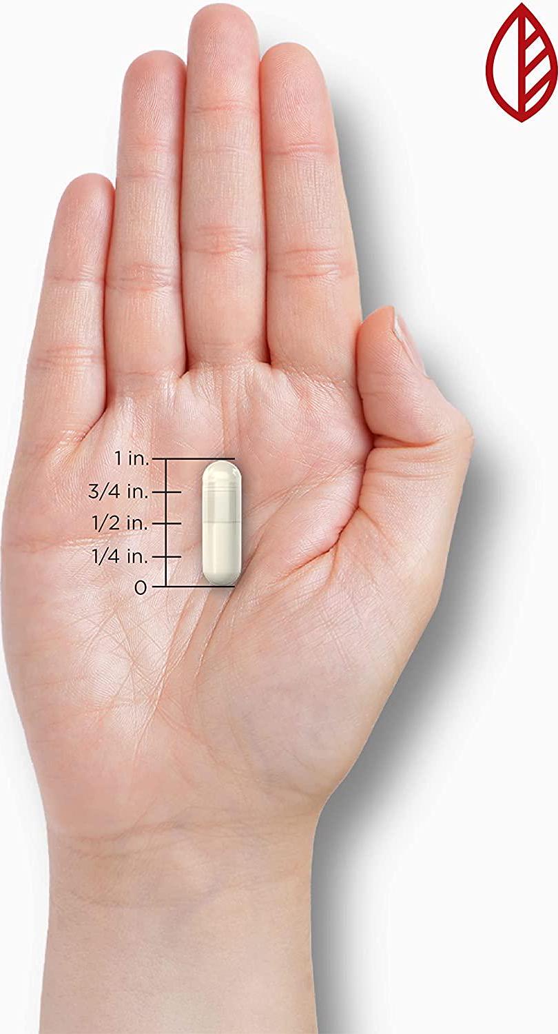 Apple Cider Vinegar Capsules - 120 Count - Non-GMO and Gluten Free Supplement - Nature's Reward