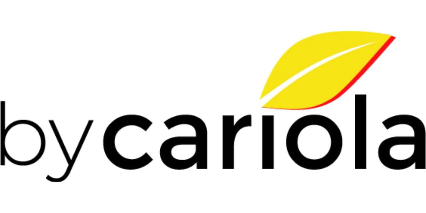 Army Health 100% Natural Curcumin -60 Capsules (Pack of 2)