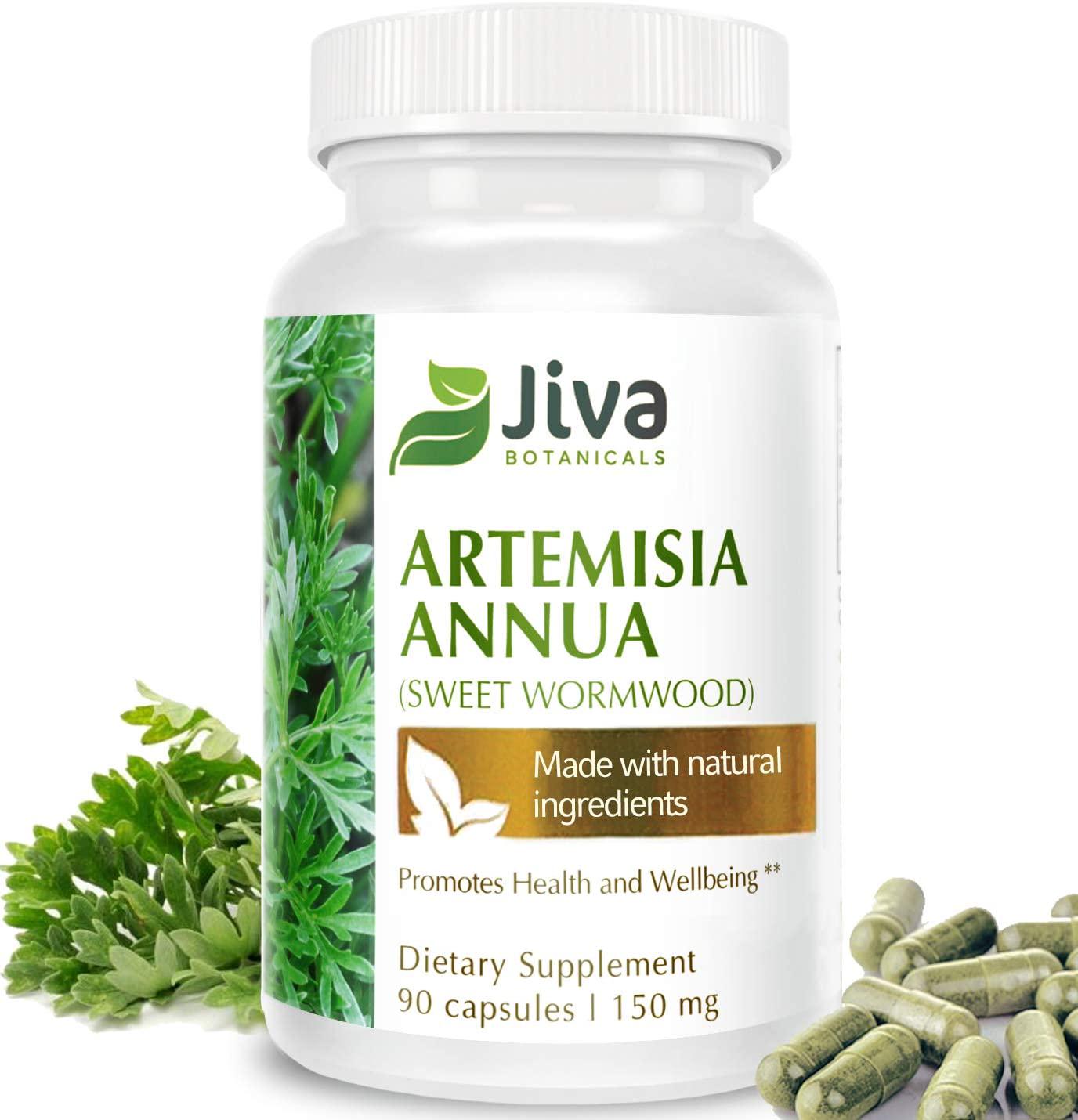 Artemisia Annua Extract (Wormwood) 150 mg High Potency Sweet Wormwood Capsules by Jiva Botanicals (90 Capsules, 3-Month Supply)