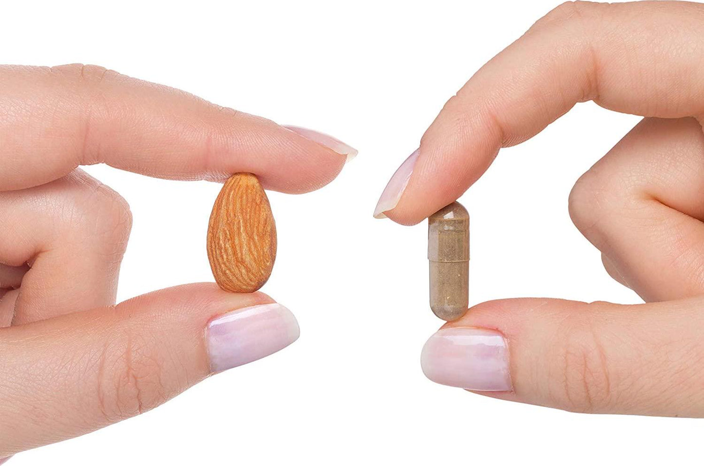 Ashwagandha Extract | Potent 420 mg Natural Ashwagandha with 5% Withanolides | Helps Support Glandular Health and Balance Stress Levels | 60 Vegetarian Capsules | Seeking Health