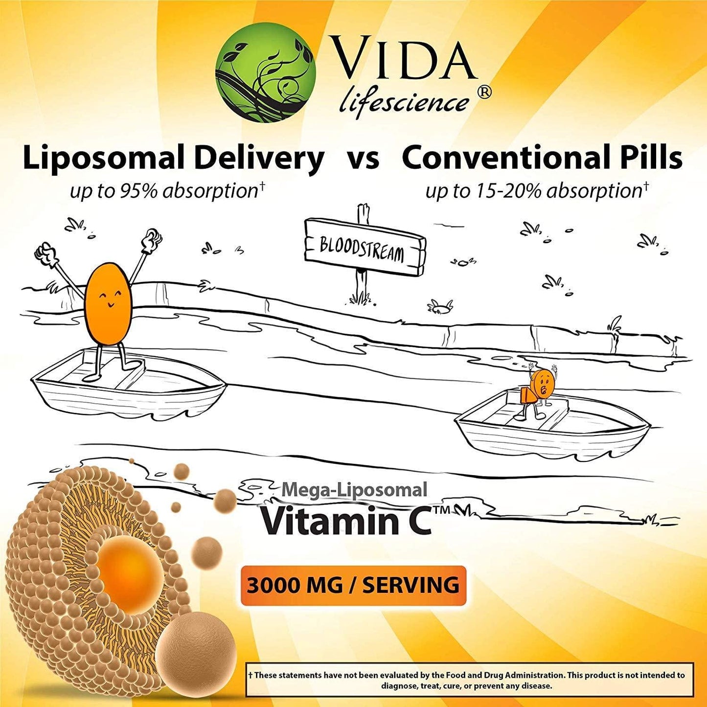 Aurora Nutrascience Mega Liposomal Vitamin C 3000 mg per Serving 16 oz Liquid