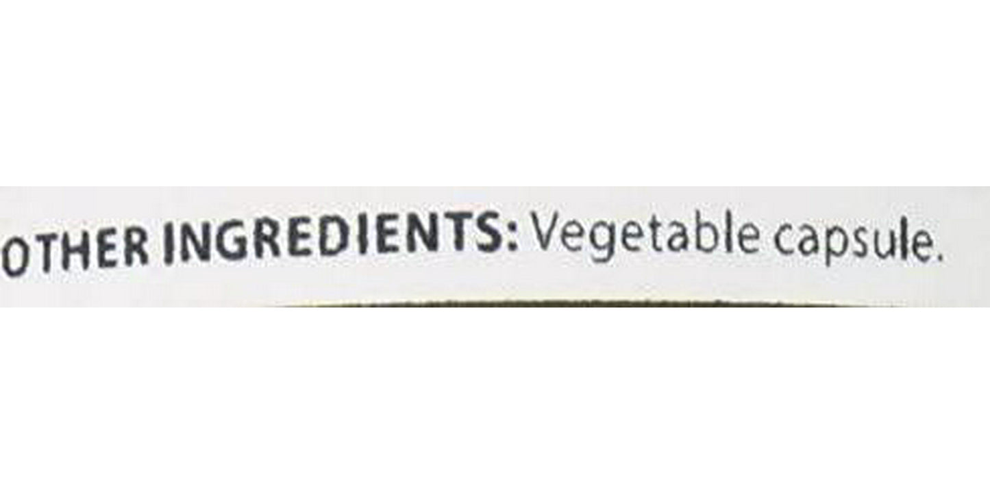 Biotech Nutritions Yacon Root Extract Serving Capsules Plus Fructooligosaccharides, 1200 mg, 60 Count