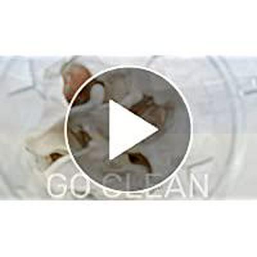 BlueBonnet Nutrition Whey Protein Isolate Powder From Grass Fed Cows, 26g of Protein, No Sugar Added, Non GMO, Gluten and Soy free, kosher Dairy, 2 Lbs, 28 Servings, French Vanilla Flavor