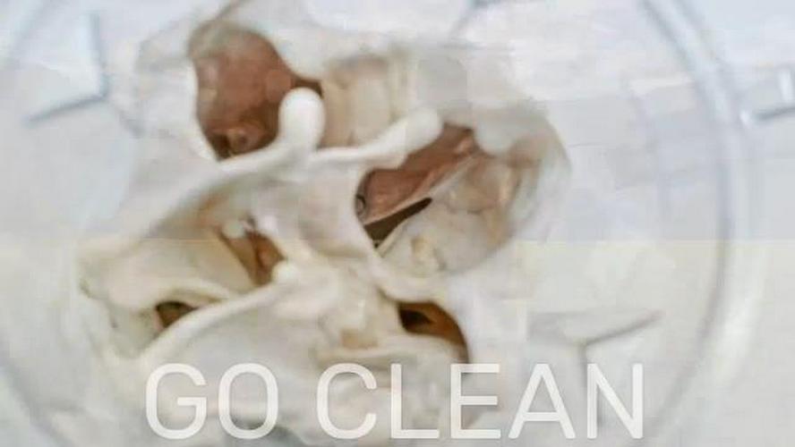 Bluebonnet Nutrition Whey Protein Isolate Powder From Grass Fed Cows, No Sugar Added, Non GMO, Gluten and Soy free, kosher Dairy, Strawberry Flavor, Light Pink, 16 Oz