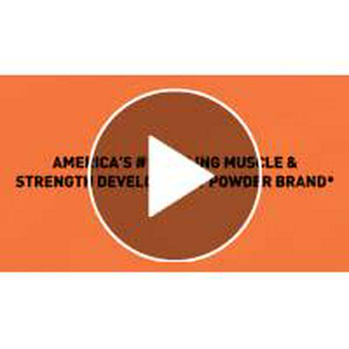 Body Fortress Super Advanced Whey Protein Powder, Chocolate Flavored, Gluten Free, 2 Lb