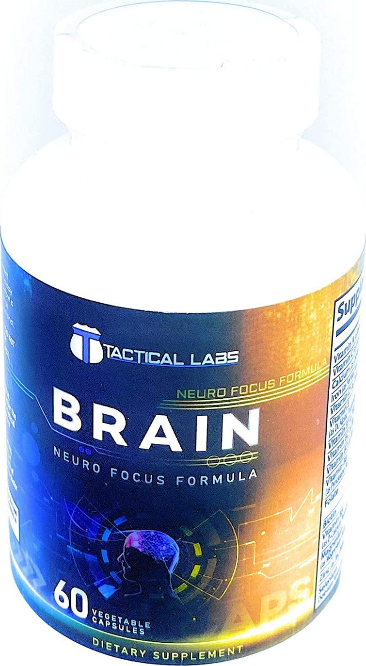 Brain