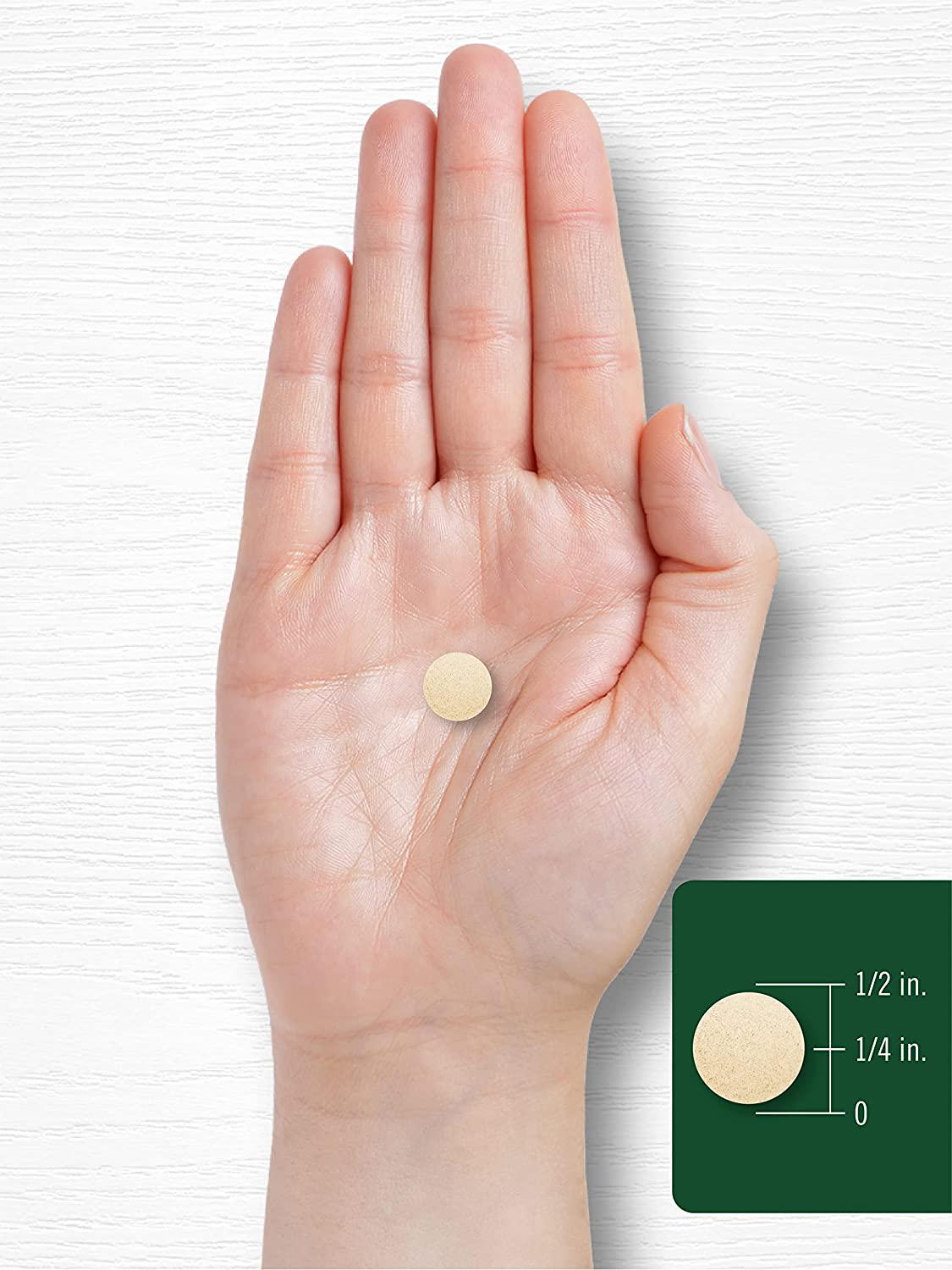 Brewers Yeast Tablets | 1500mg | 500 Count | Non-GMO and Gluten Free | by Carlyle