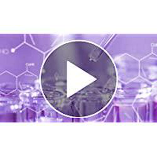 CF Nutrition CF(Rehydrate) Electrolyte Drink Solution, Rehydration Relief for Kids and Adults, Sport Recovery Drink, Vegan, Gluten-Free, Kiwi Strawberry, 33.8 Fl Oz (Pack of 2)