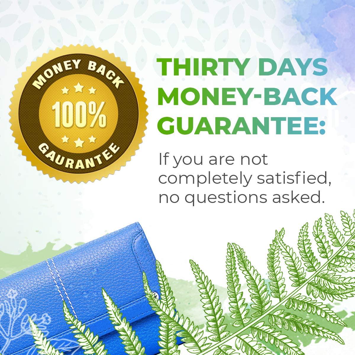 Chicory B60 Alcohol-Free Herbal Extract Tincture, Super-Concentrated Organic Chicory (Cichorium Intybus) Dried Root Powder (2 fl oz)