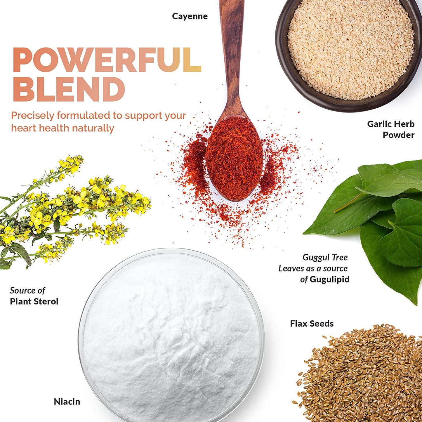 Cholesterol Formula (2 Pack) - Unique Blend of All-Natural Ingredients to Increase HDL and Lower LDL Levels | Supports Heart, Liver and Lungs | Cholesterol and Triglyceride Lowering Supplement