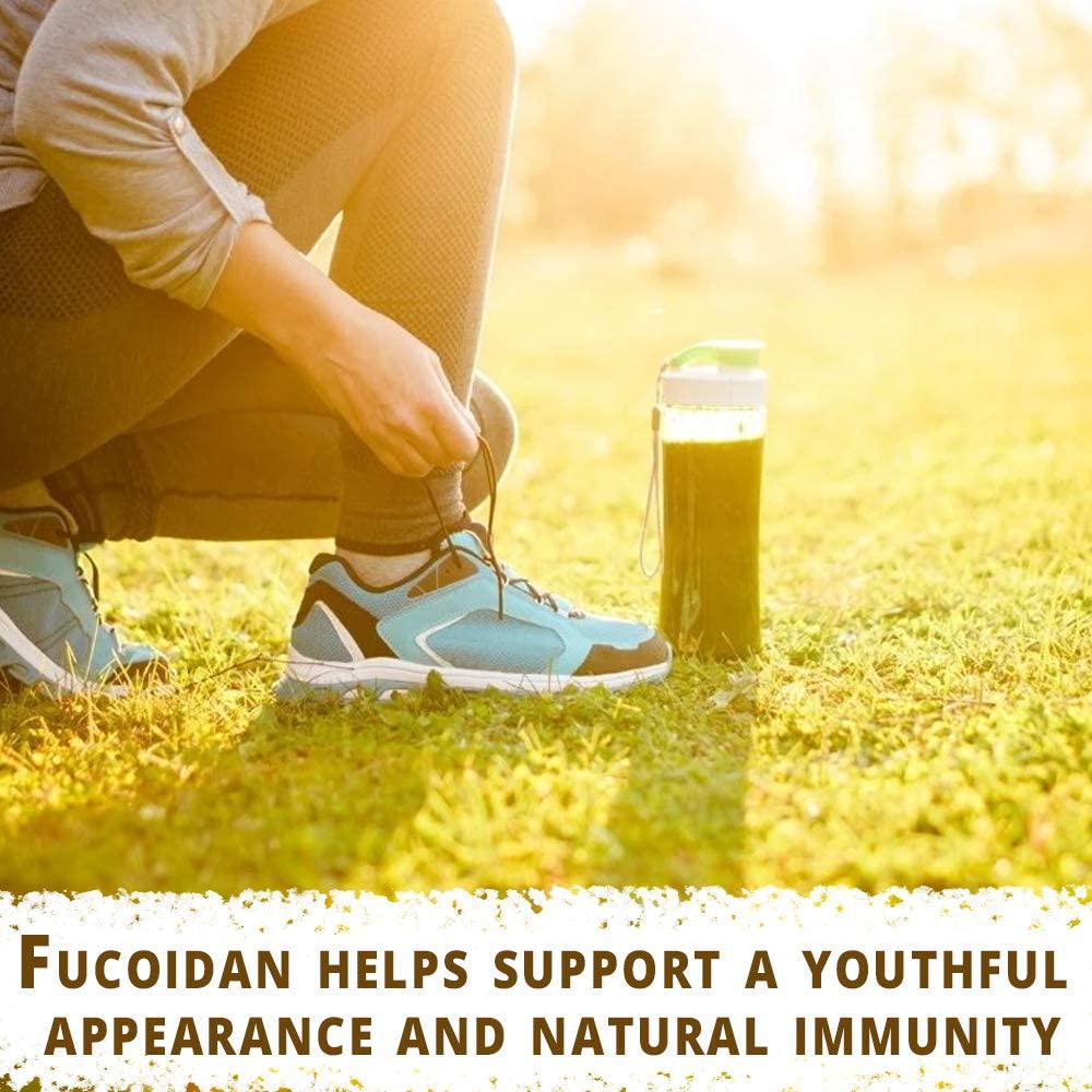 Dr's Hope Fucoidan Supplement(Brown Seaweed Extract) 85% Highest Sulfate Amount - Supports Immune System and Antioxidant Health - Vegan, No Artificial Additives, 60 Veggie Caps - Made in USA