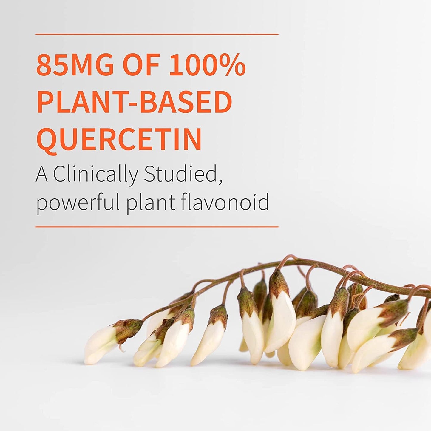 Dr. Formulated Vitamin D3 5,000 IU and Zinc 30ct