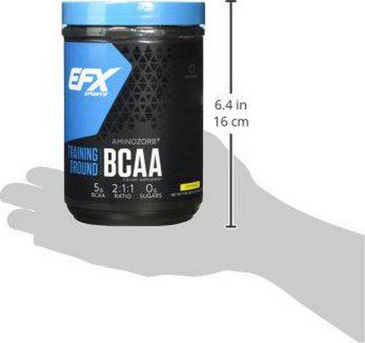 EFX Sports Training Ground BCAA Powder, Lemonade, 500 Gram