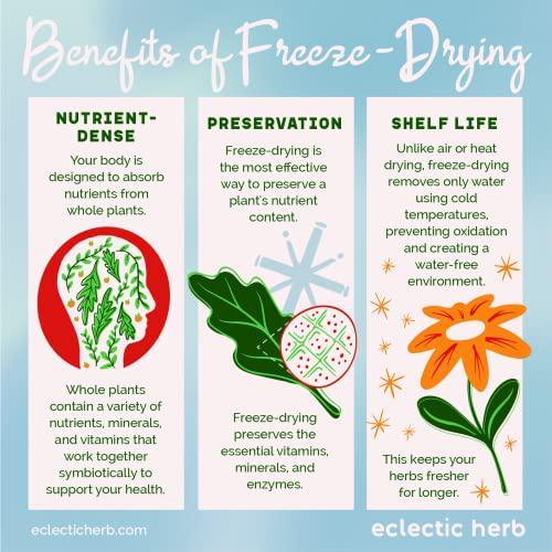 Eclectic Institute Nettle 300 mg 90 Veggie Caps