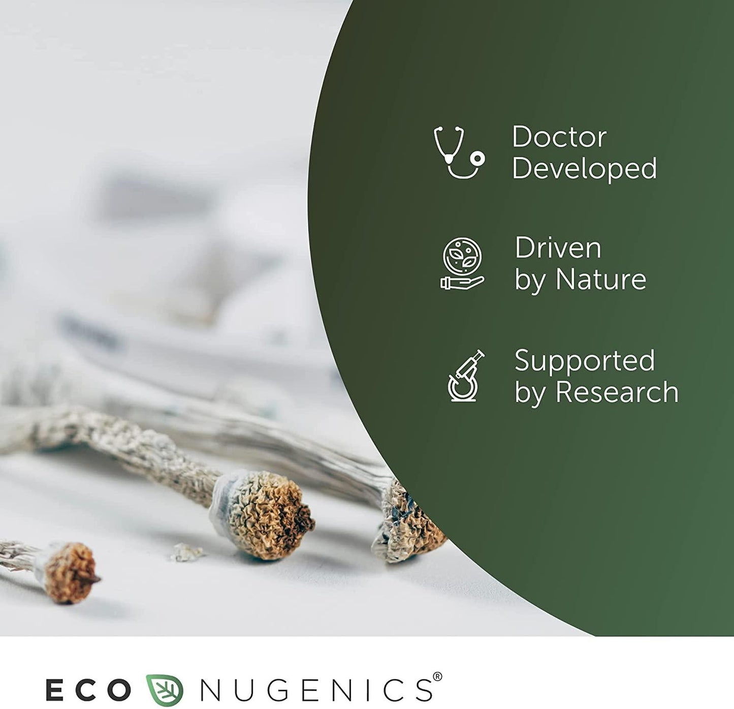 EcoNugenics PectaSol Modified Citrus Pectin for Total-Body Health and Optimal Aging - Clinically Researched and Patented - Daily Super-Nutrient for High Performing Cells - Immune Balancing - Safe Detox (270 Capsules)