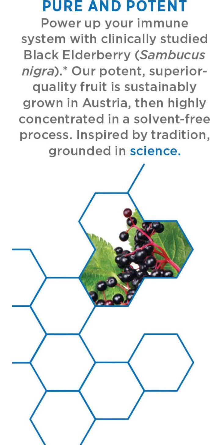 Elderberry Syrup, New Chapter Elderberry Syrup, 24 Servings, Immune Defense for Kids (4+) and Adults, 64x Concentrated Black Elderberry + Grade A Honey, No Corn Syrup, Non-GMO, Gluten Free