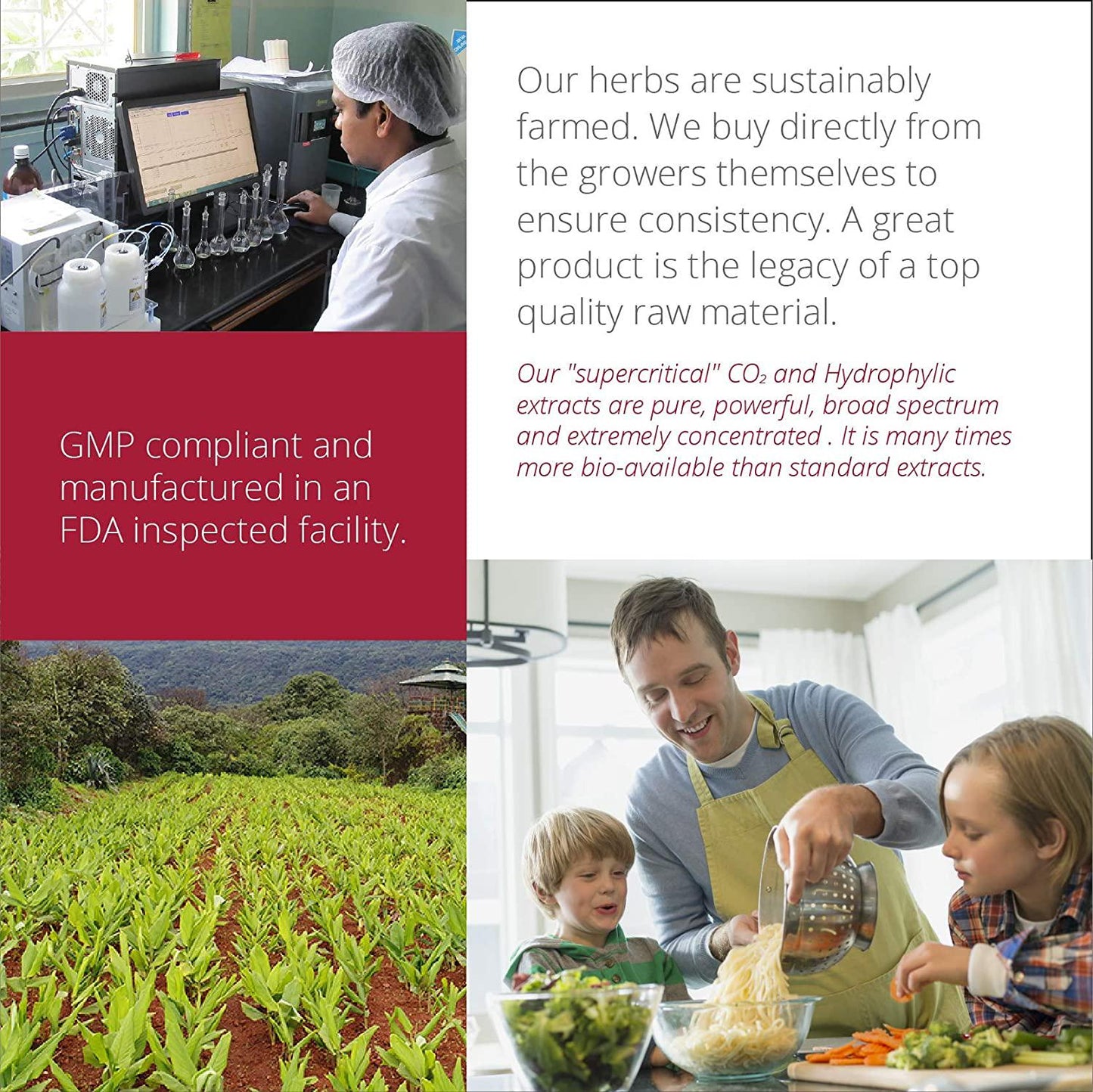 Everyday Blood Pressure Support - Natural Heart Health Cholesterol Support with Magnesium and Hawthorn for Hypertension- 60 Capsules Included