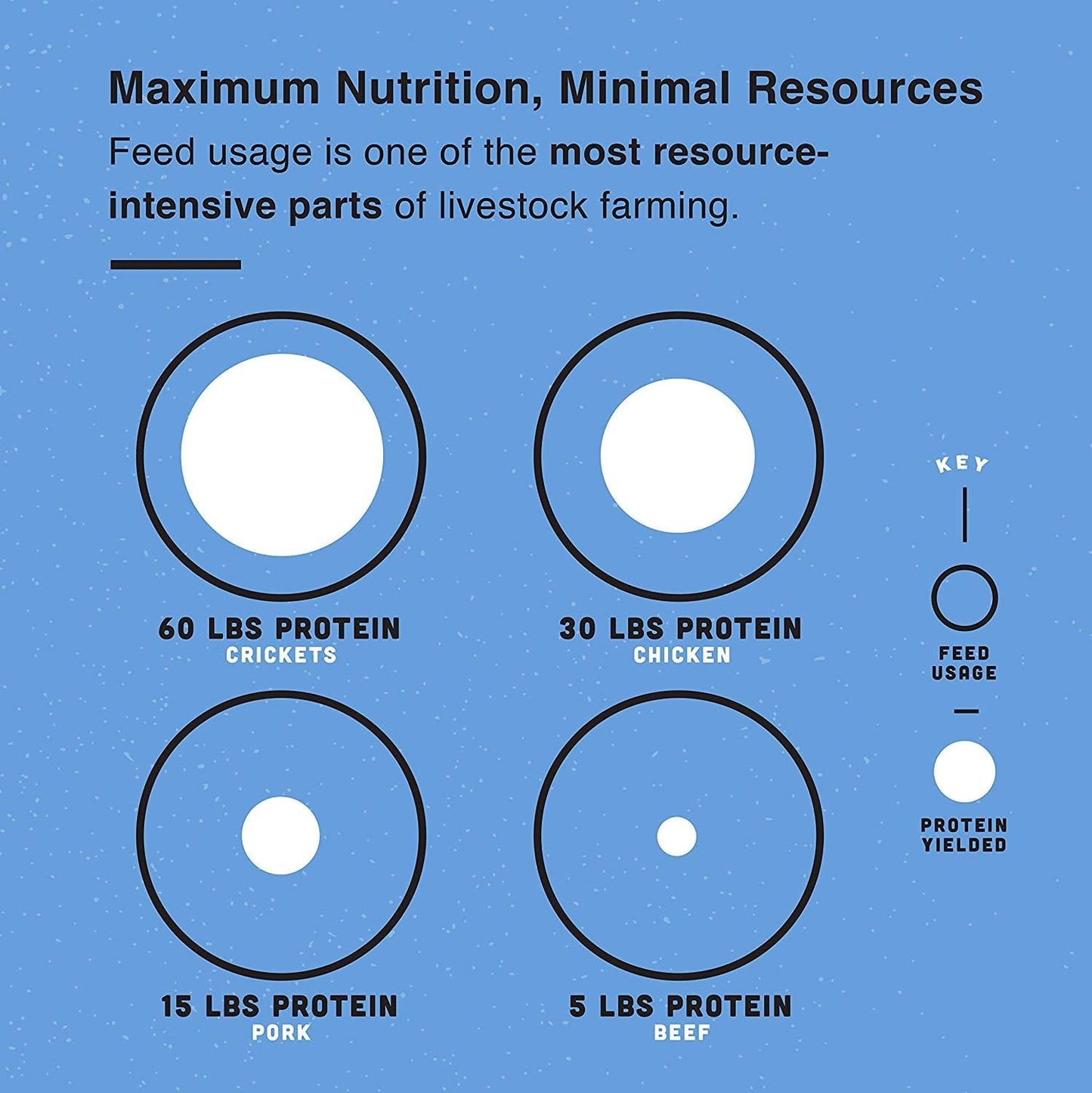 Exo Pure Cricket Protein Powder, 1 Pound, Low Carb, Dairy Free, Gluten Free