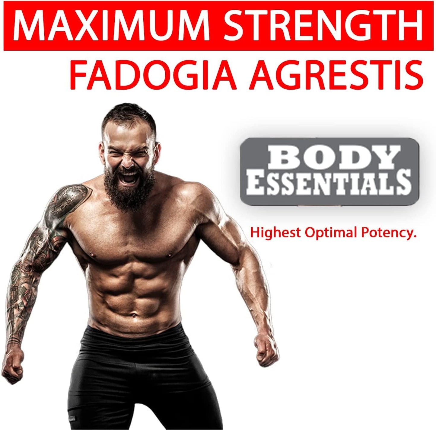FADOGIA 850 850 mg Per Day - 120 Capsules by Body Essentials Powerful Maximum Strength Fadogia Agrestis Extract to Support Healthy Athletic Performance