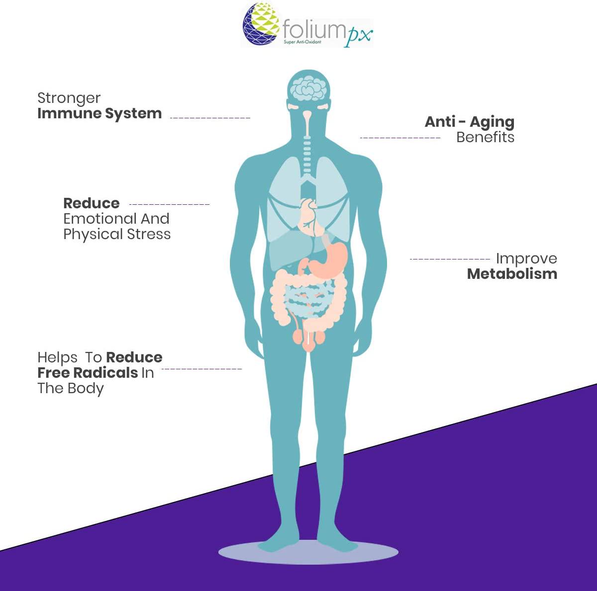 Folium pX Immune System Support, Full Body Cleanse, Heavy Metal Detox, Mercury, Lead, Arsenic, Barradium, Gadolinium, Cadmium Poisoning, Super Antioxidant Supplement, Pine Bark, Grape-Seed Extract