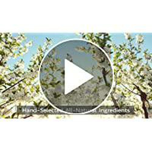 Forest Leaf - Apple Cider Vinegar Capsules with Cayenne Pepper Powder 1200mg - 120 Organic Pills - ACV Raw Supports Metabolism, Diet, Detox, Digestion, Gut Health, Cleanser - Immune Support Supplement