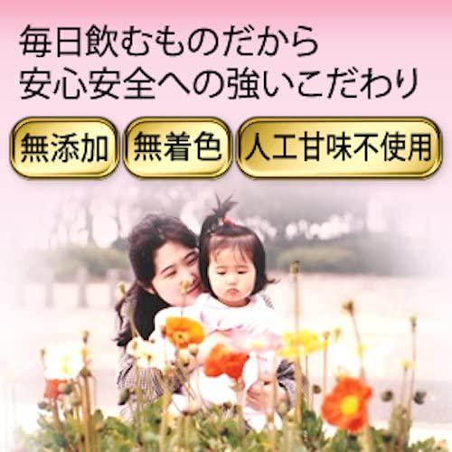 Fugen Active Enzyme Powder for Health and Beauty,All Natural Ingredients 2gx90 Sachets Made in Japan