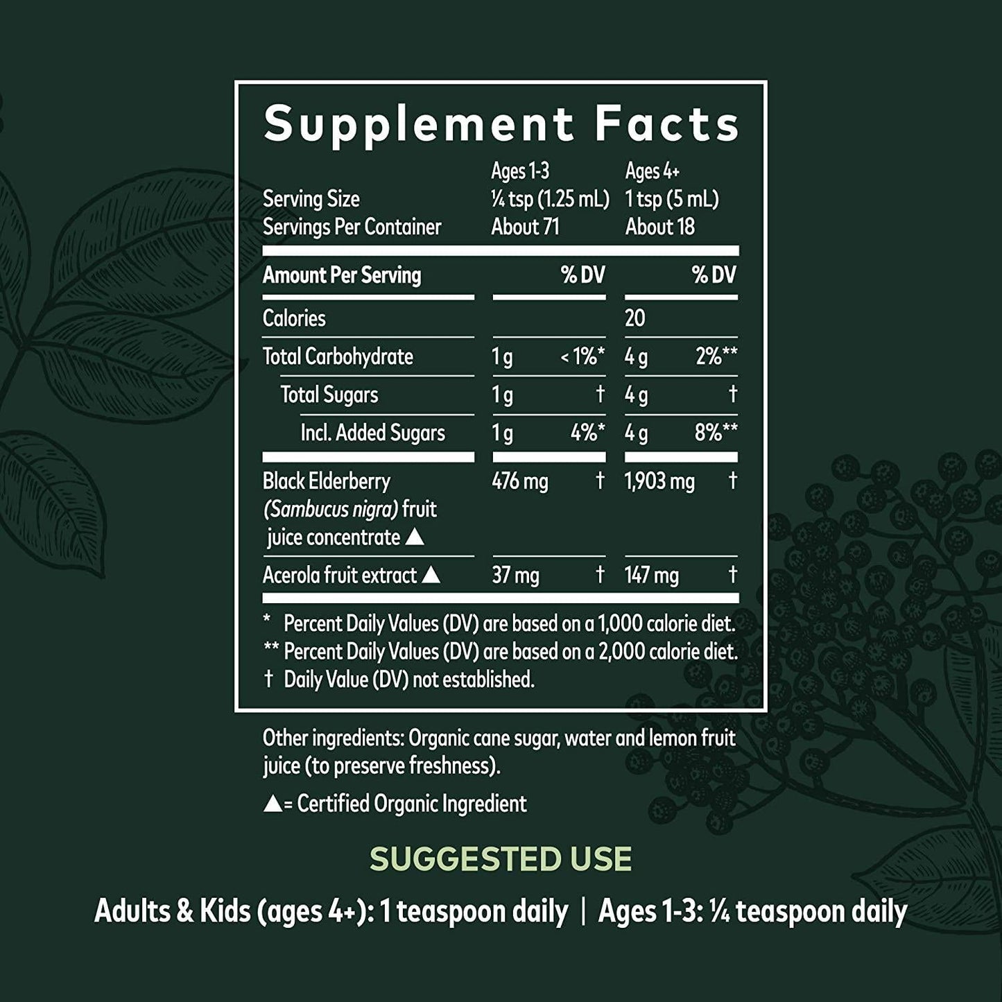 Gaia Herbs, Black Elderberry Syrup, Daily Immune Support with Antioxidants, Organic Sambucus Elderberry Supplement, 3 Ounce