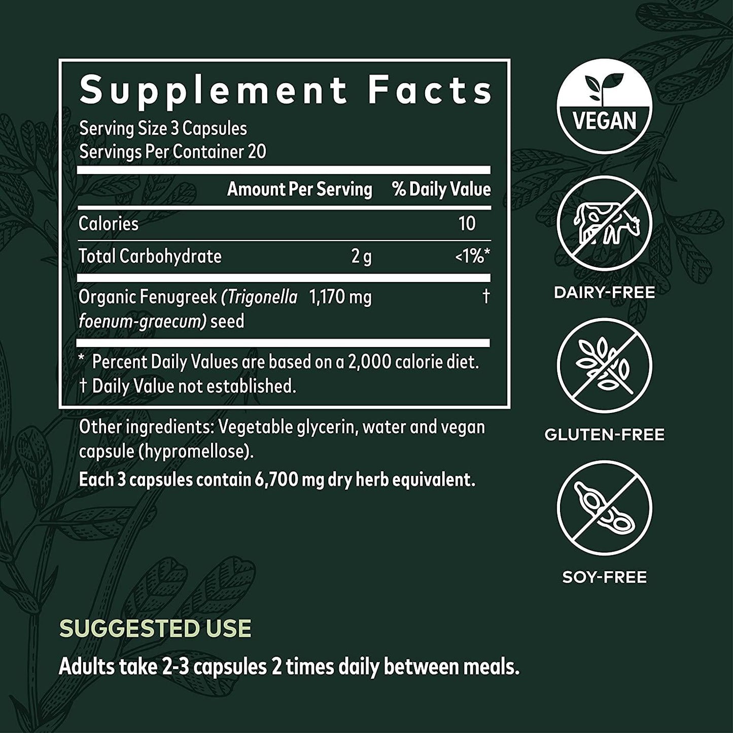 Gaia Herbs Fenugreek Seed, Vegan Liquid Capsules, 60 Count - Lactation Supplement with Organic Fenugreek to Optimize Breast Milk Production