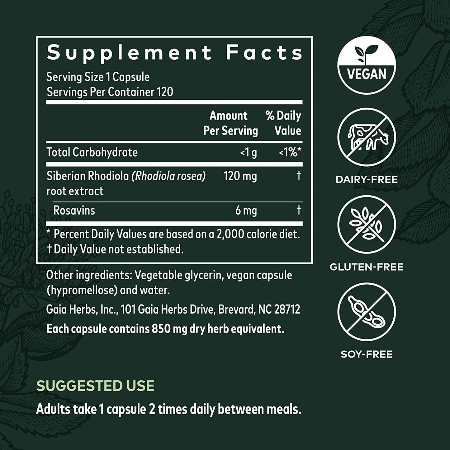 Gaia Herbs Rhodiola Rosea - Stress Support Supplement Traditionally for Supporting Healthy Stamina and Endurance - With Siberian Rhodiola Root Extract - 120 Vegan Liquid Phyto-Capsules (60-Day Supply)