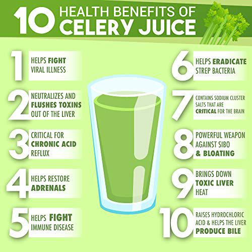 Garden Greens Celery Power Whole Food Juice Cleanse, with Aloe, Fruits and Herbs, Supports Healthy Digestion, Supports Cleanse and Detox, Reduce Bloat and Water Weight, 32 Fl Oz