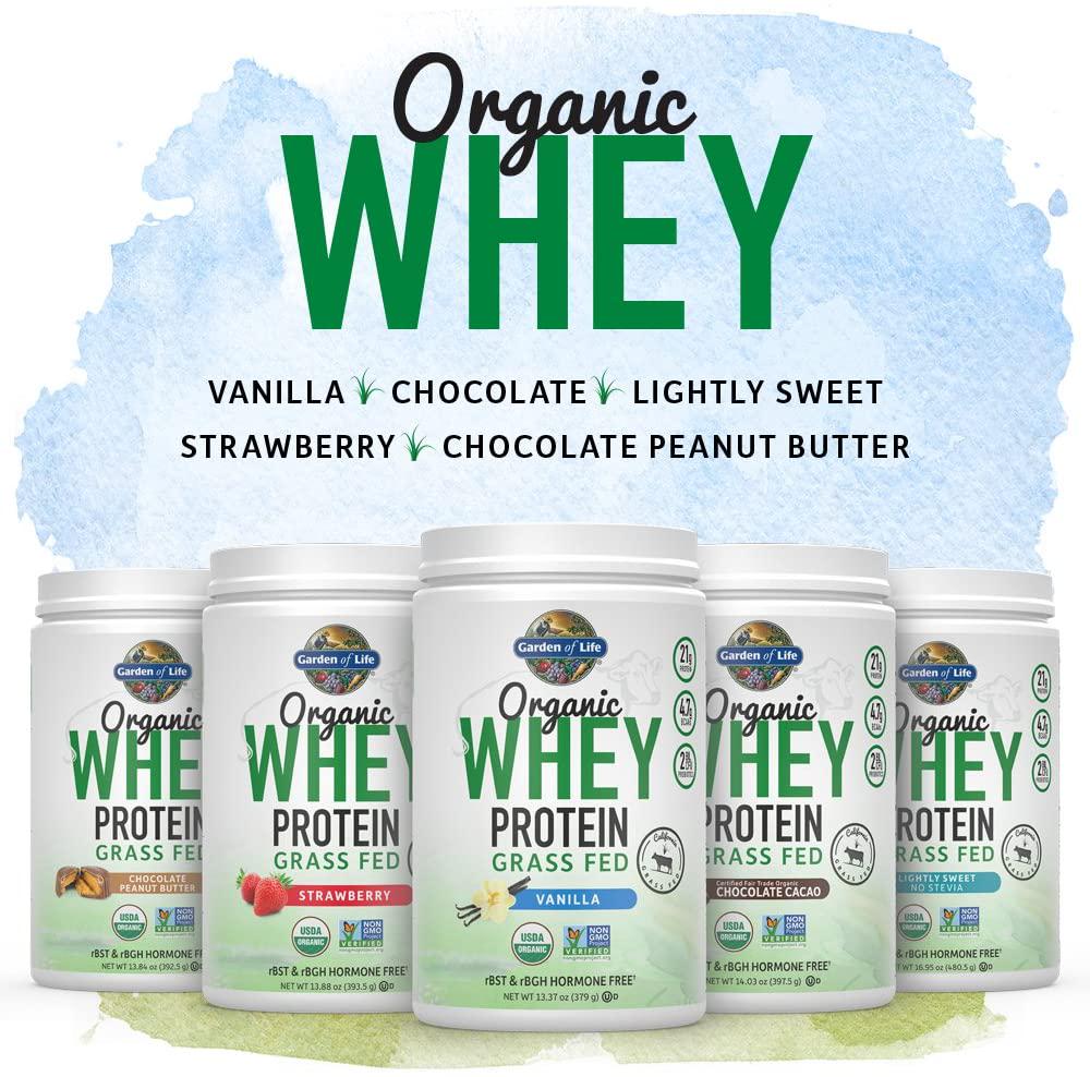 Garden of Life Certified Organic Grass Fed Whey Protein Powder - Vanilla, 12 Servings - 21g California Grass Fed Protein Plus Probiotics, Non-GMO, Gluten Free, RBST and rBGH Free, Humane Certified