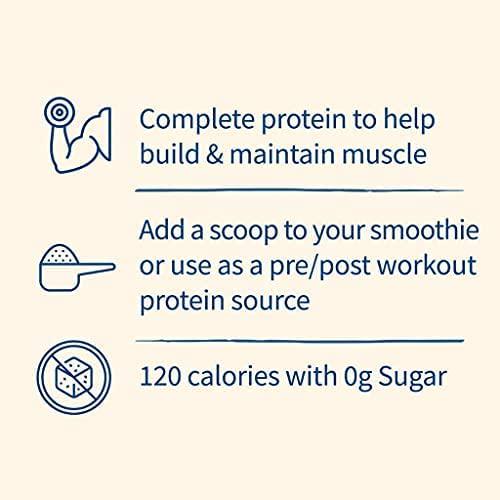 Garden of Life Organic Protein Shake Powder, Vanilla Flavor