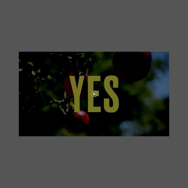 Garden of Life RM-10 Ultra Ultimate Broad Spectrum Immune Support System for Cell Function, DNA Methylation Complex and Organic Mushroom Blend, 90 Count