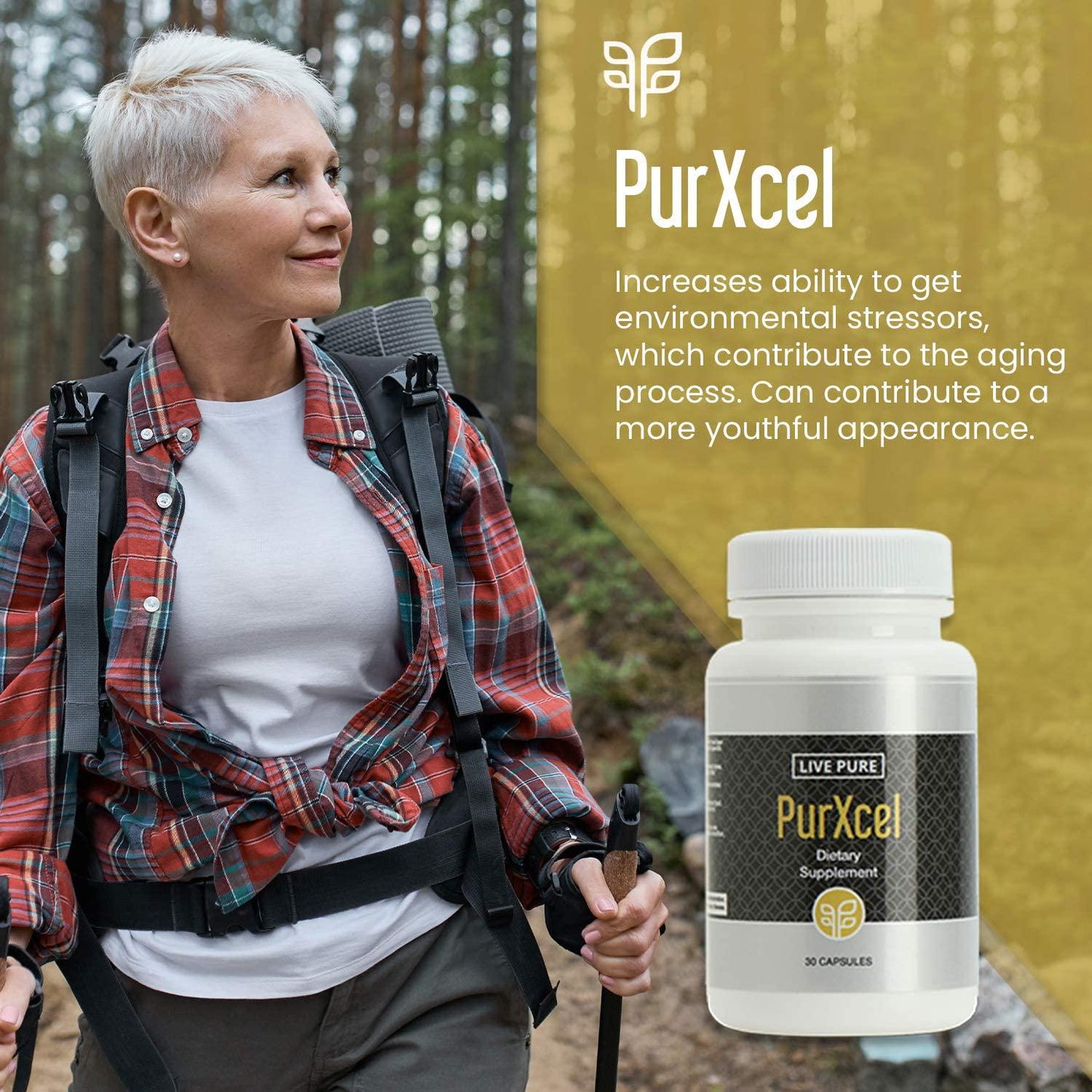 Genesis Pure Purxcel 30 Capsules