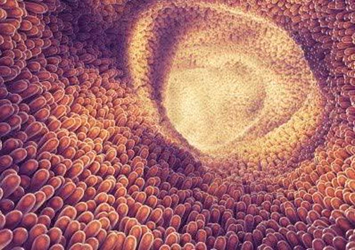 Glutapak R Probiotic with Glutamine Powder, 3 (15g) Packets