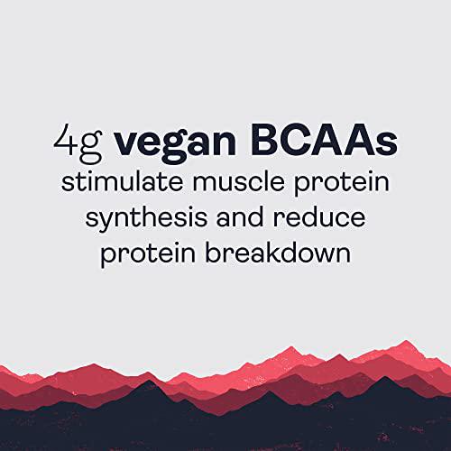 Gnarly Nutrition, Preworkout, Natural Energy Boost with Beta-Alanine, Citrulline Malate, Strawberry Lemonade, 14.82 Oz (30 Servings)