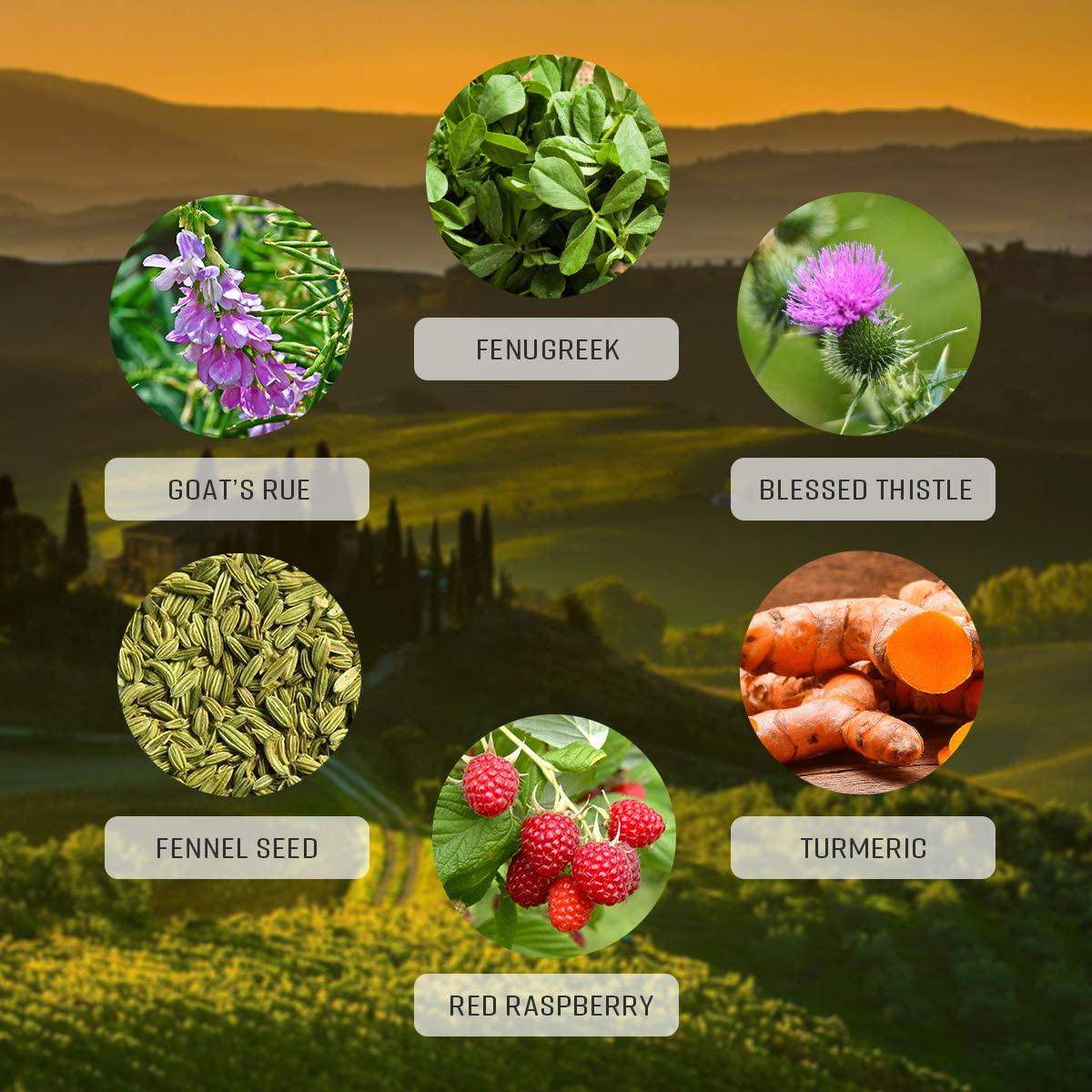 Goat's Rue Tincture Alcohol-Free Liquid Extract, Organic Goat's Rue Herb (Galega officinalis) (4 FL OZ)