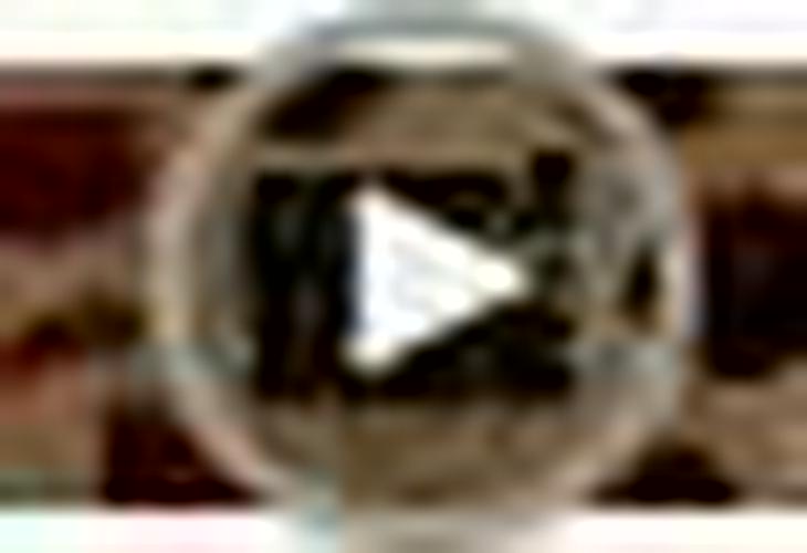 Gone Rogue High Protein Chicken Bacon Chips, Low Carb, Gluten Free, Keto Friendly Snacks, 8 pack