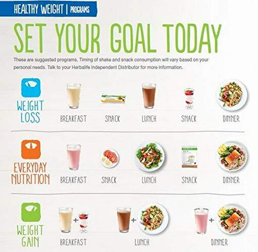 Herbalife Formula1 Healthy Meal Nutritional Shake Mix Mint Chocolate Chip, 780g/27.5Oz