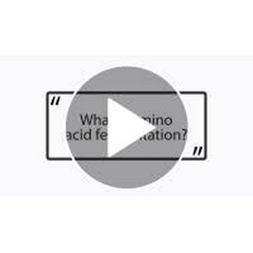 KAGED MUSCLE, L-Glutamine Powder 500 Gram, Vegan, Support Muscle Recovery, Post Workout, Glutamine, Banned-Substance Free, Unflavored, 100 Servings