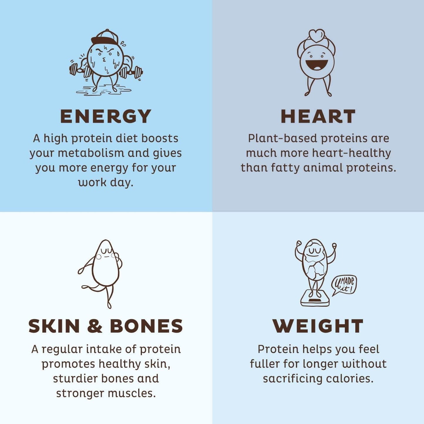 KOS Vegan Protein Powder - Blueberry Muffin Protein Powder - Added Blue Spirulina and Immune Support - Soy, Gluten and Dairy Free - 14 Servings