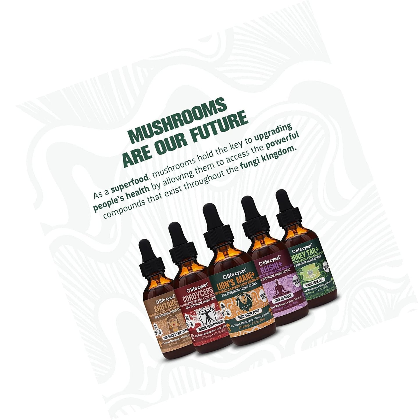 Life Cykel Reishi Liquid Double Extract 120ml